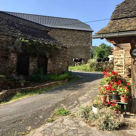 Maison De Ferme Renovee & Lumineuse - Renovated, Bright & Quiet Stone 20 Min From Rodez