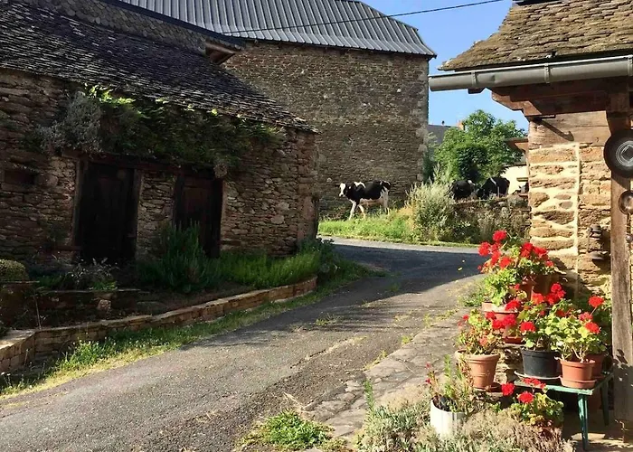 Maison De Ferme Renovee & Lumineuse - Renovated, Bright & Quiet Stone 20 Min From Rodez